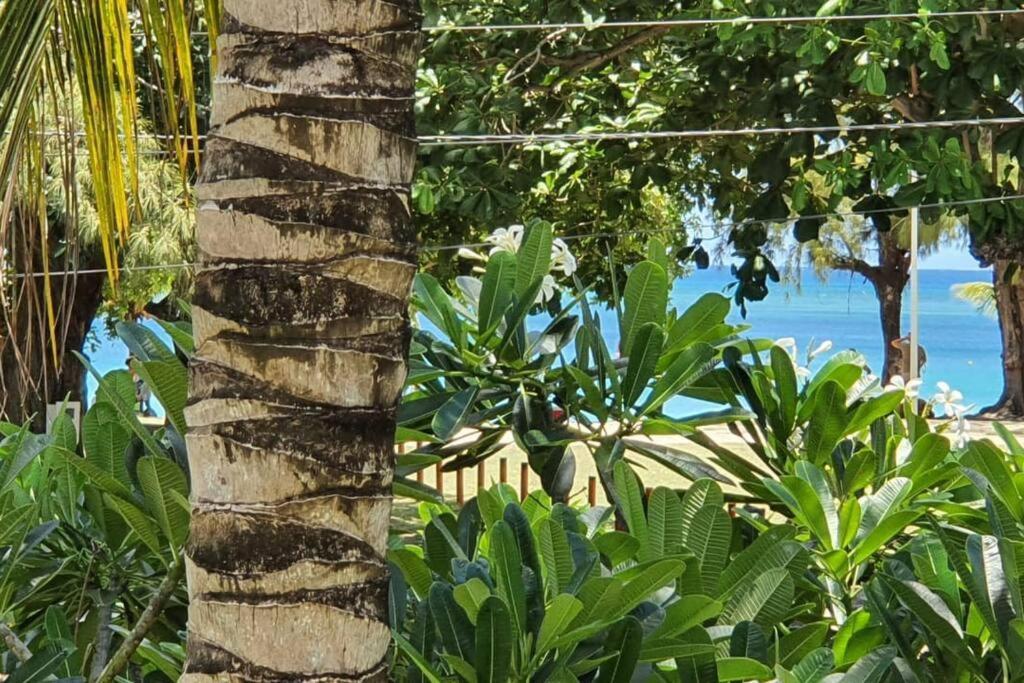 Apartment Porte Du Bonheur - Freshly Renovated 2 Bedrooms Flat - 50m From Pereybere Beach
