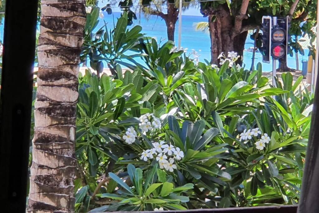 Porte Du Bonheur - Freshly Renovated 2 Bedrooms Flat - 50m From *